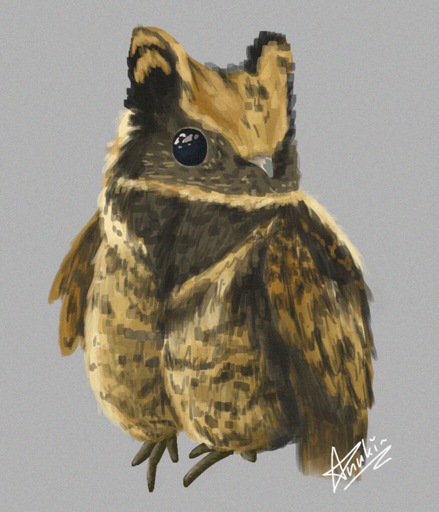 [Study] Great-Eared Nightjar