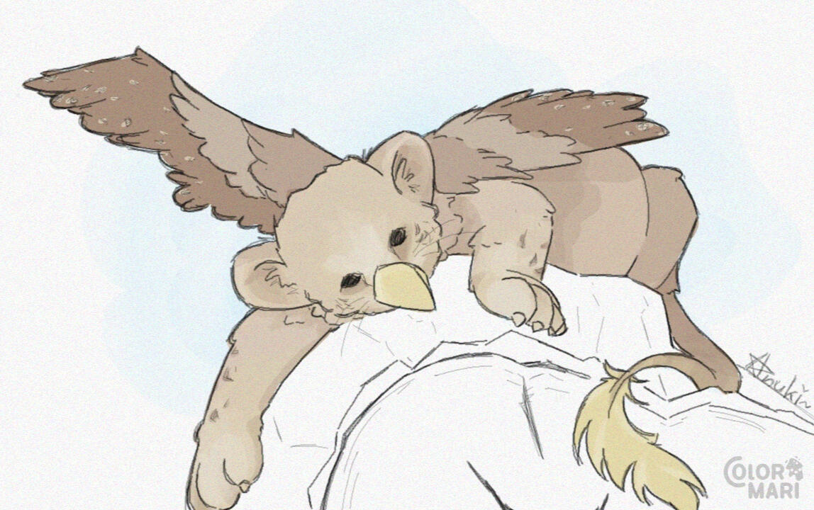 [Colormari] lion x hawk