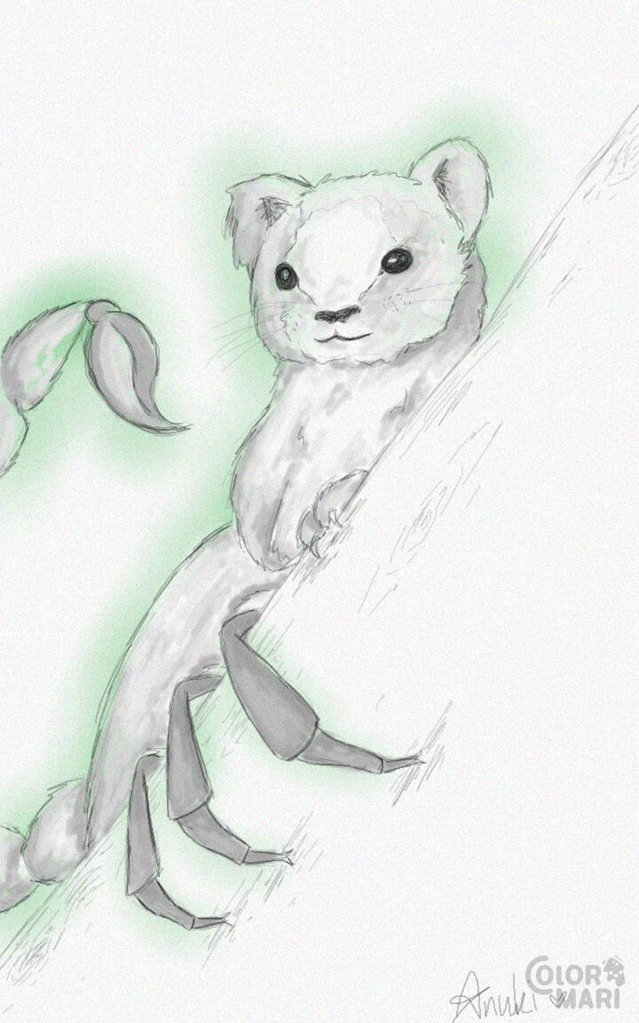 [Colormari] Ferret x Scorpion
